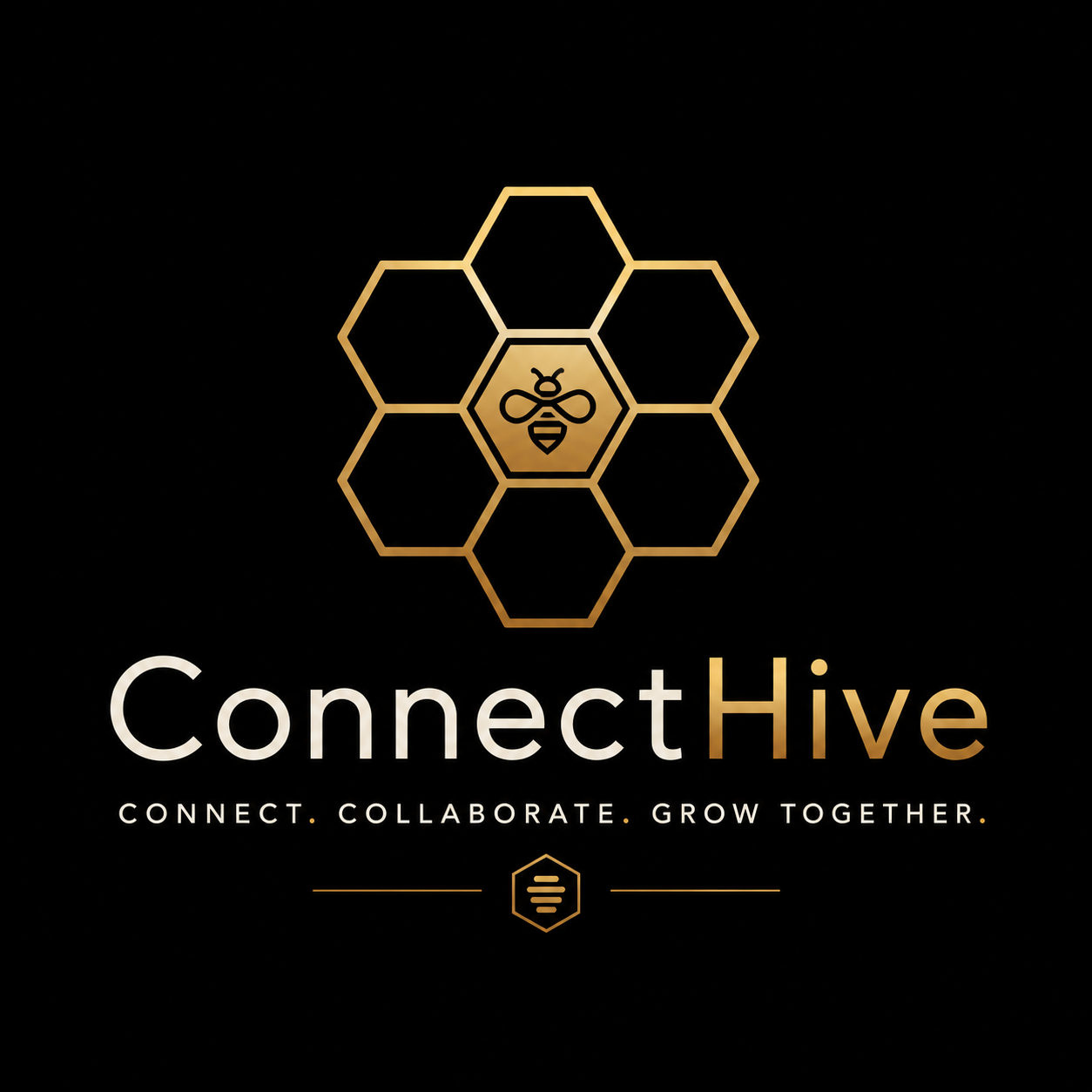 ConnectHive — Connect. Collaborate. Grow together.